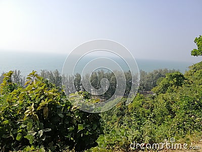 Beautiful trees side the sea in Coxâ€™s Bazar in Bangladesh Stock Photo